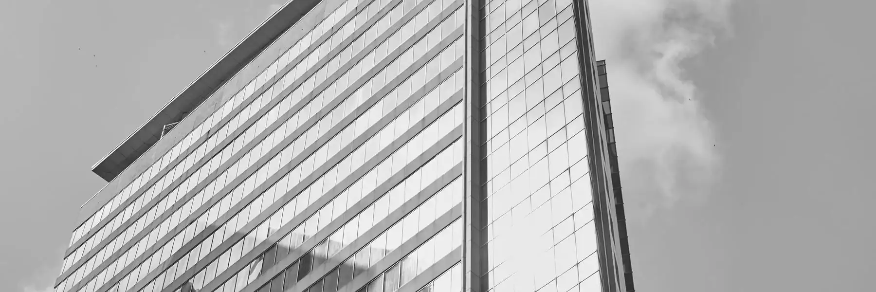 Business Evaluation Service